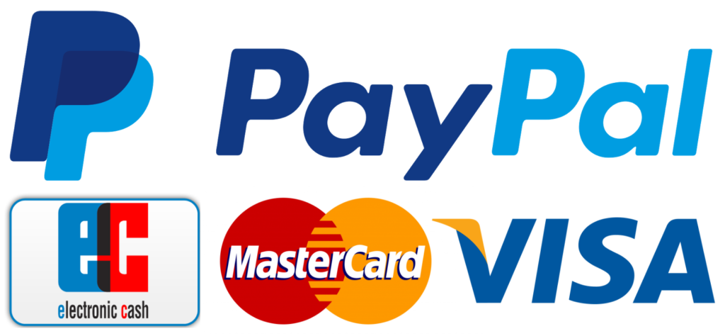 zahlungsmethoden fĂŒr shopify shop erstellen. Paypal, mastercard, visa